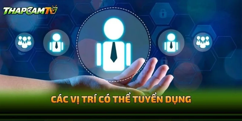 Các Vị Trí Có Thể Tuyển Dụng Thapcamtv