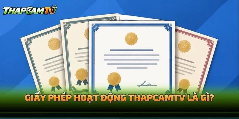 Giấy Phép Hoạt Động THAPCAMTV Là Gì?