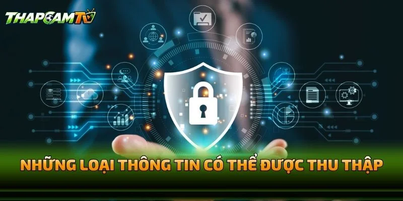 Những Loại Thông Tin Có Thể Được Thu Thập