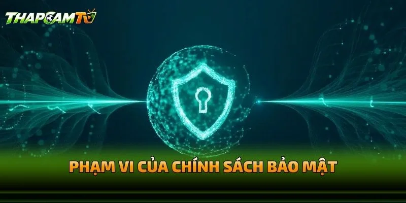Phạm Vi Của Chính Sách Bảo Mật Thapcamtv