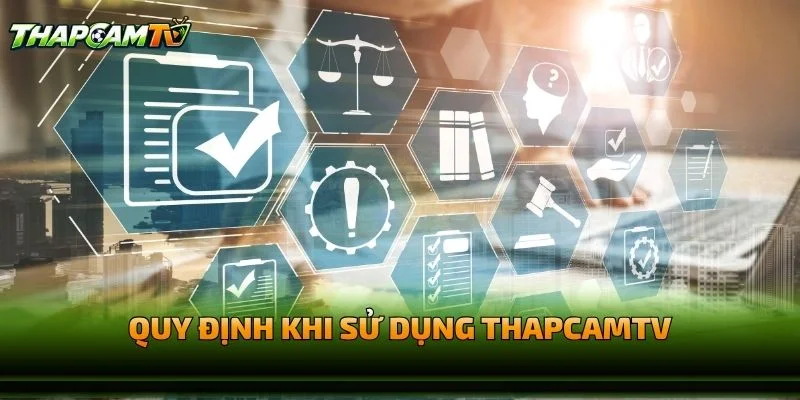 Quy Định Khi Sử Dụng Điều Khoản Điều Kiện Thapcamtv