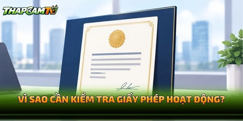Vì Sao Cần Kiểm Tra Giấy Phép Hoạt Động Thapcamtv?